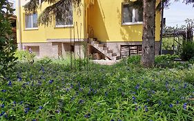 Стаи За Гости 